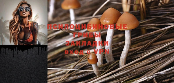 прущий лед Няндома