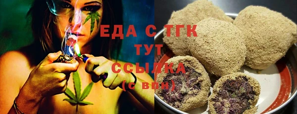 индика Болхов