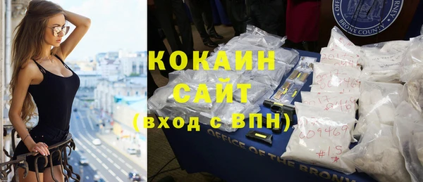 тгк Абаза
