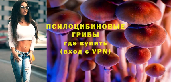 тгк Абаза